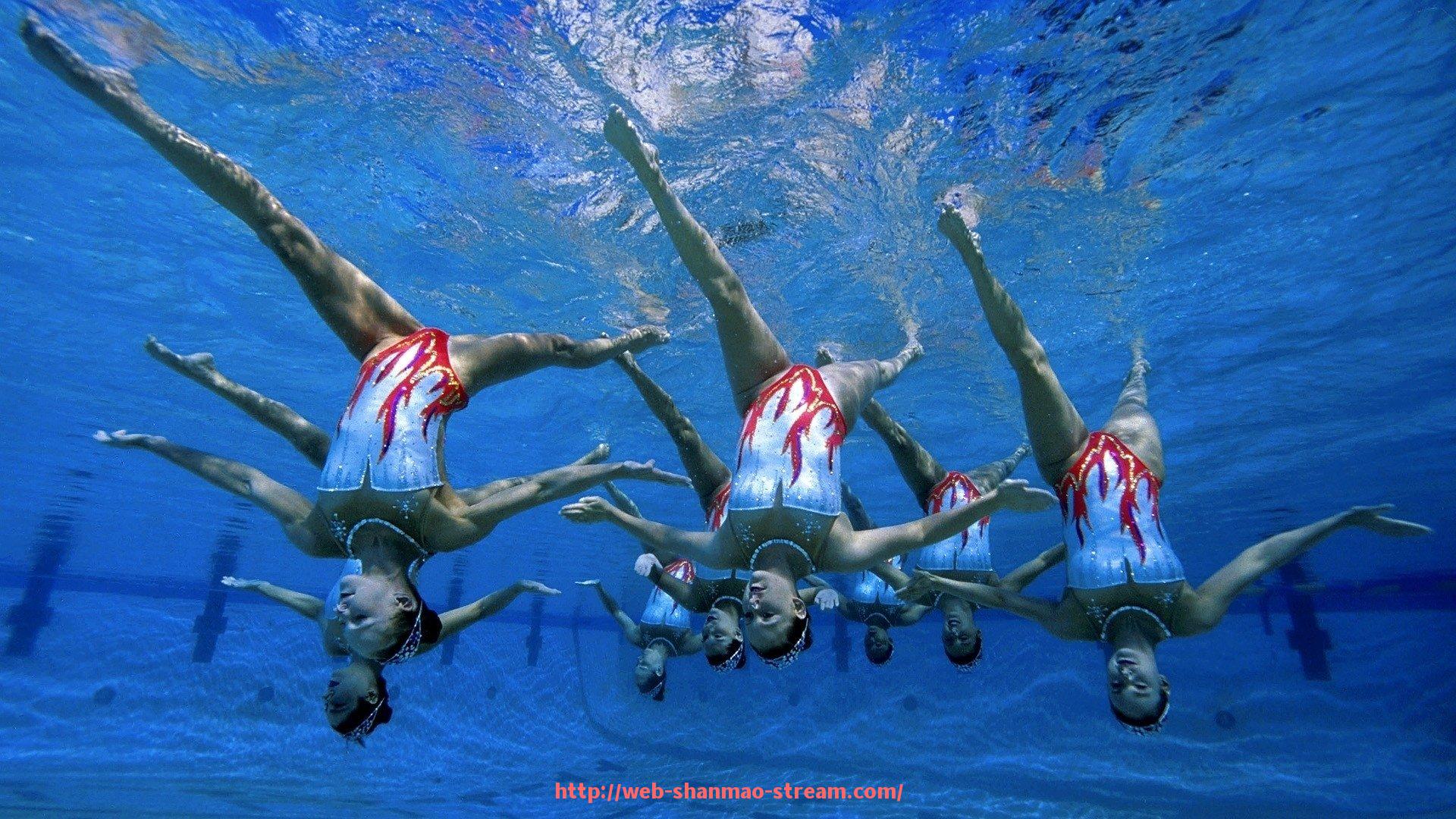 山猫直播官网-詹姆斯球迷中的CBA球员表现回顾及影响力分析