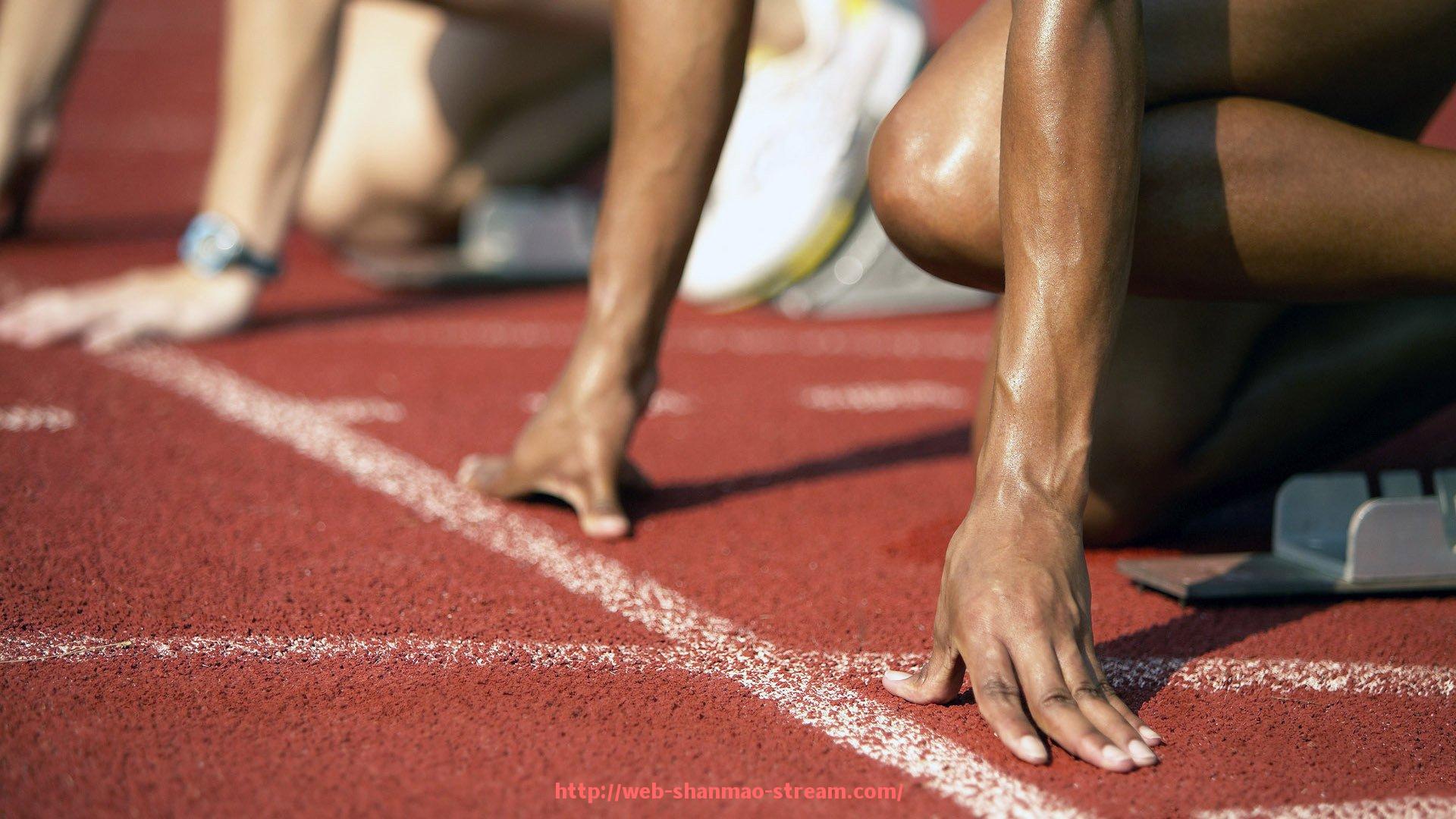 山猫直播官网-数据回顾：世俱杯球迷线上助威活动热度统计报告